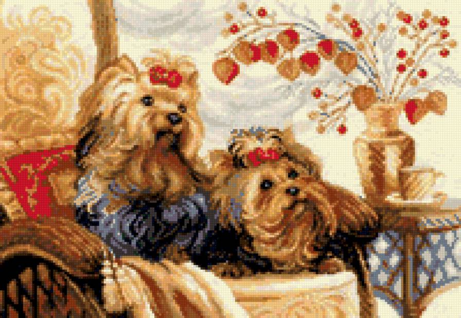 Собачки для дома - собаки - предпросмотр