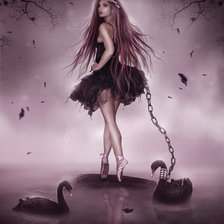 Схема вышивки «балет»