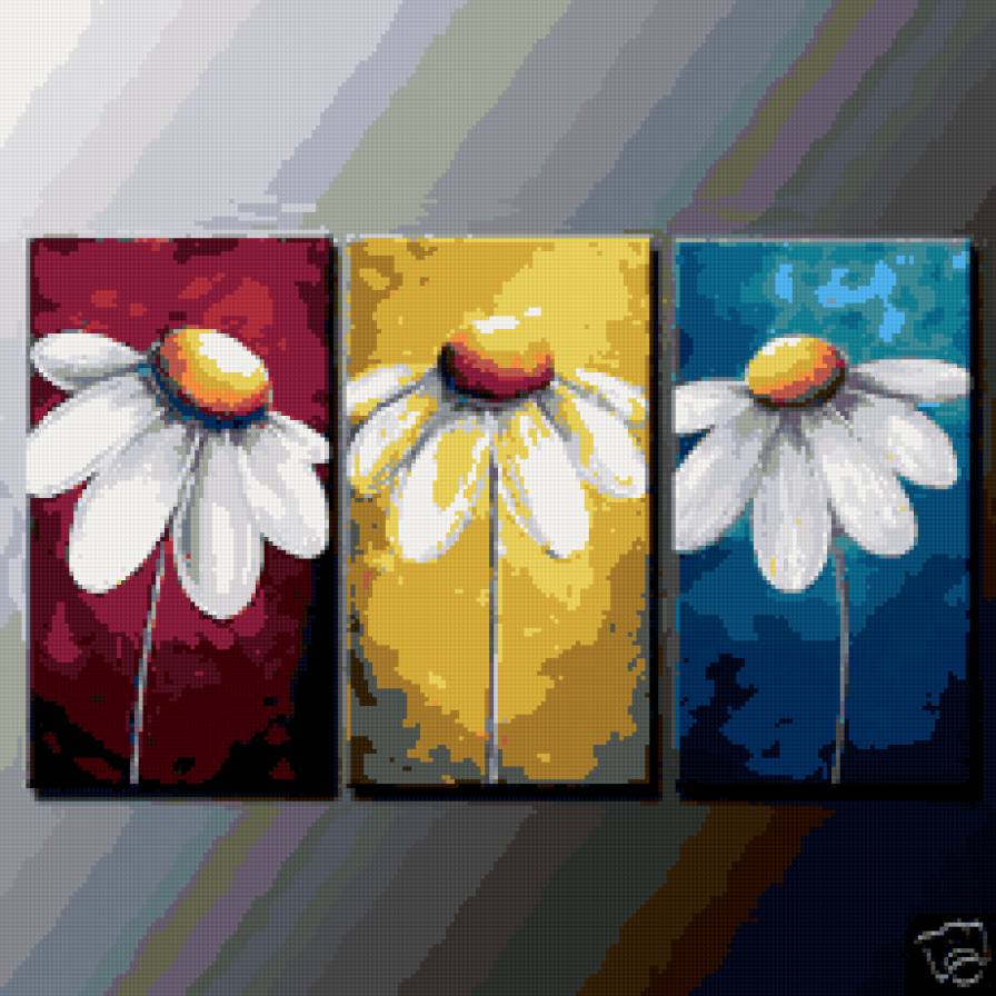 Общ.вид. Ромашки - цветы, ромашки - предпросмотр