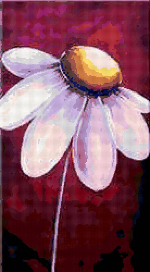 Ромашка - цветы, ромашки - предпросмотр