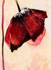 Схема вышивки «Мак 3»