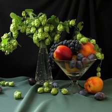 Схема вышивки «№427544»