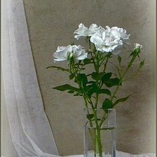 Схема вышивки «№427545»