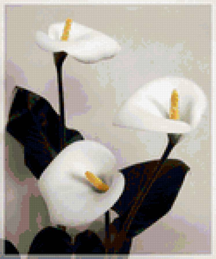 №427587 - цветы - предпросмотр