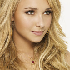 Схема вышивки «Хейден»