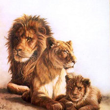 lion