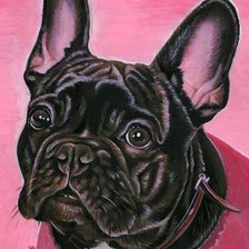 Схема вышивки «французский бульдог два»