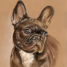 Схема вышивки «французский бульдог вариант»