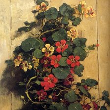 Схема вышивки «Настурции.»