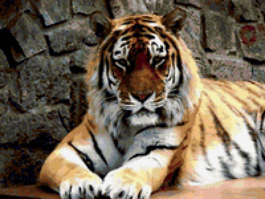 №428096 - предпросмотр