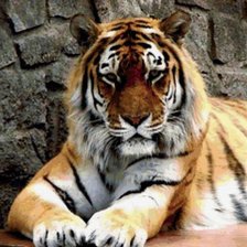 Схема вышивки «№428096»