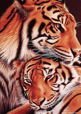 Верность тигра - тигры, пара, верность - оригинал