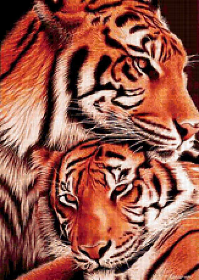 Верность тигра - пара, верность, тигры - предпросмотр