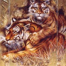 Схема вышивки «Серия "Большие кошки"»