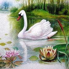Схема вышивки «белый лебедь на пруду»