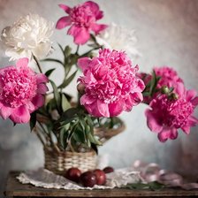 Схема вышивки «Пионы»