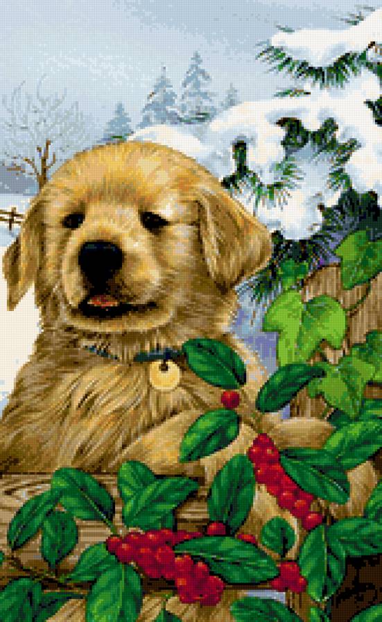 Пушистый малыш - малыши, зима, собака, ягодки, детки, щенок, рябина, собаки - предпросмотр