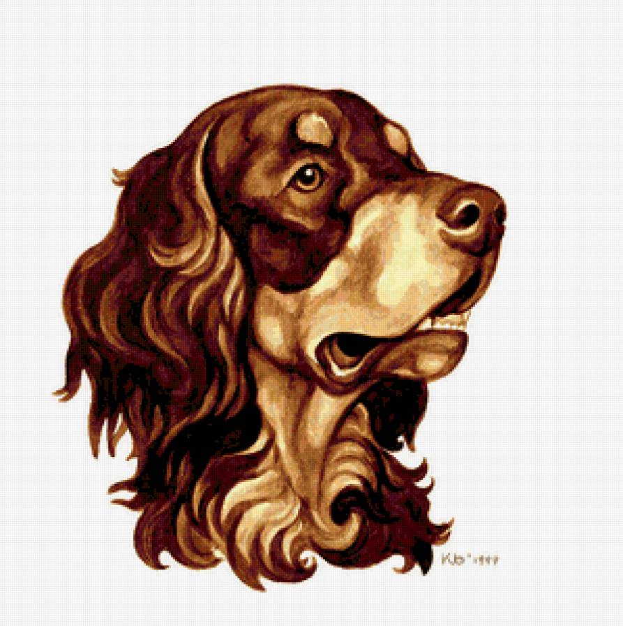 собака - собаки - предпросмотр