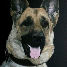 Схема вышивки «овчарка»