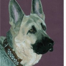 Схема вышивки «овчарка»