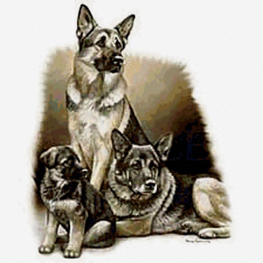 овчарка со щенками - собаки - предпросмотр