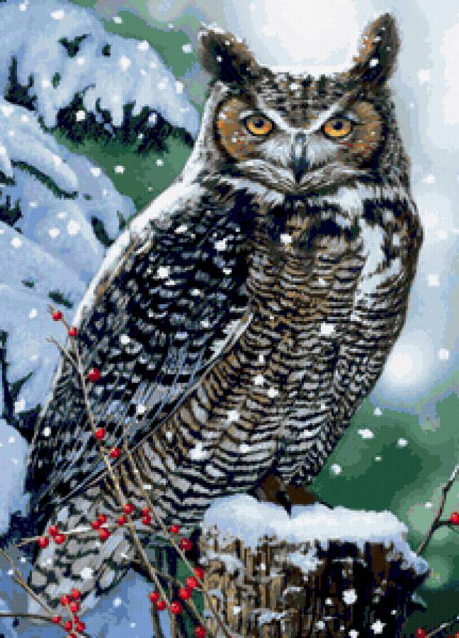 Филин - природа, сова, ягоды, лес, филин, снег, птица, птицы, зима - предпросмотр