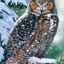 Схема вышивки «Филин»