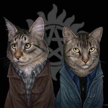 Схема вышивки «КотоСэм и КотоДин»