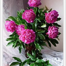 Схема вышивки «пионы»