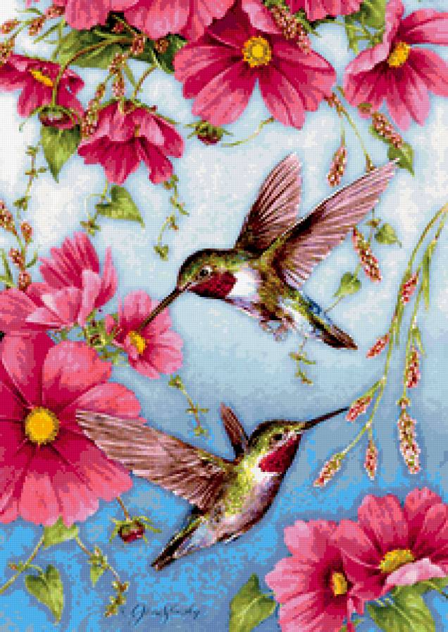 Цветы и птицы - цветы, птицы - предпросмотр