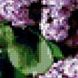 Предпросмотр схемы вышивки «Сирень» (№428563)
