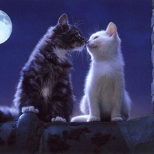 Схема вышивки «Кошки»