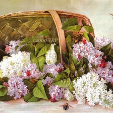 Схема вышивки «сирень в клрзинке»