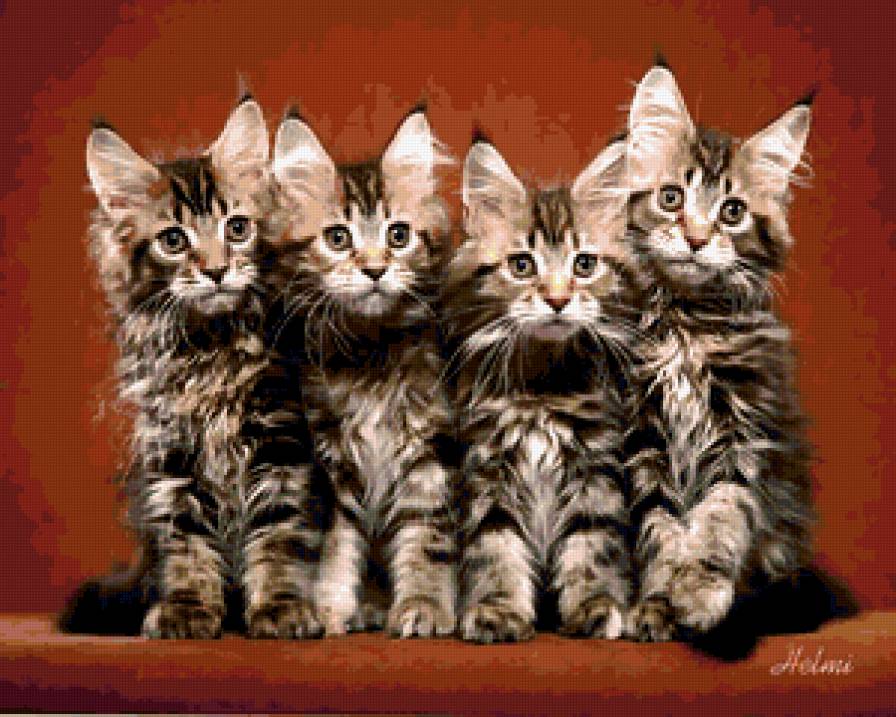 Котята - кошки - предпросмотр