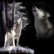 Схема вышивки «волчья песня»