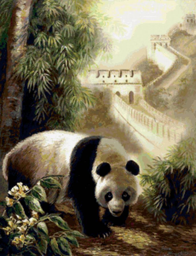 панда - животные, китайская стена - предпросмотр