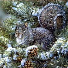 Схема вышивки «Белочка»