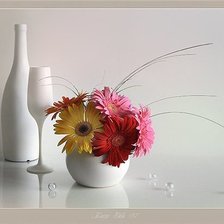 Схема вышивки «Герберы»