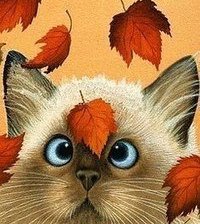 Схема вышивки «№429114»