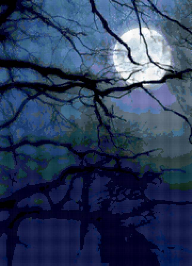 полнолуние - природа - предпросмотр
