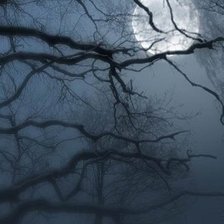 Схема вышивки «полнолуние»