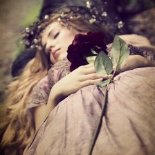 Схема вышивки «спящая красавица»