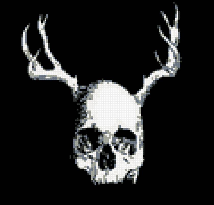 skull 3 - смерть, готика, череп - предпросмотр