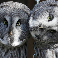 Схема вышивки «друзья»