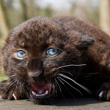 Схема вышивки «страх»