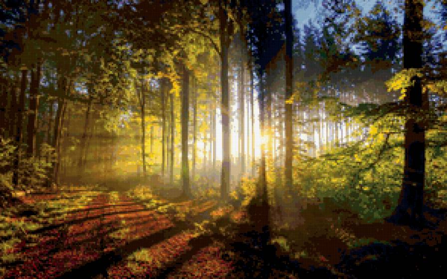 природа - лес, природа, пейзаж, дорога, дерево - предпросмотр