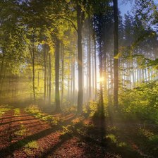 Схема вышивки «природа»