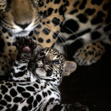 Схема вышивки «семья»