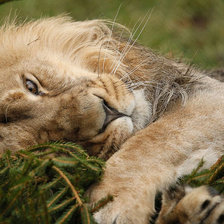 Схема вышивки «отдых»