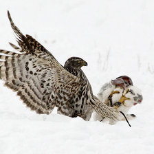 Схема вышивки «охота»